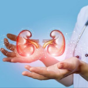 Things To Know About Nephrology And Nephrologists