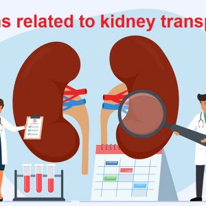 Myths Related to Kidney Transplant