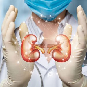 Everything You Need to Know About Kidney Testing