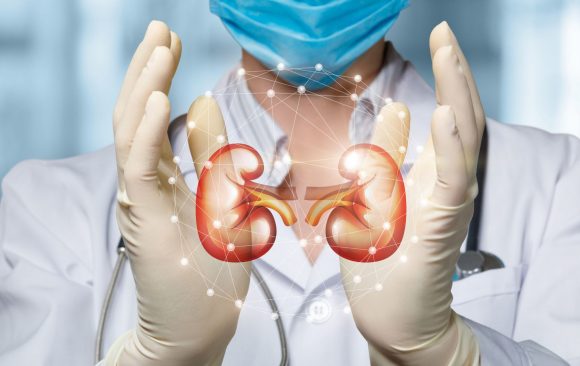 Everything You Need to Know About Kidney Testing Everything You Need to Know About Kidney Testing