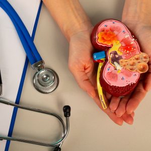 Kidney Transplant Myths and Facts