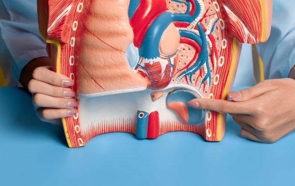 Essential Functions Your Kidneys Perform